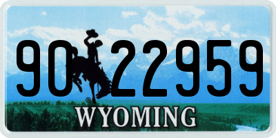 WY license plate 9022959