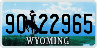 WY license plate 9022965