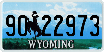WY license plate 9022973