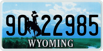 WY license plate 9022985