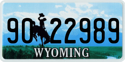 WY license plate 9022989