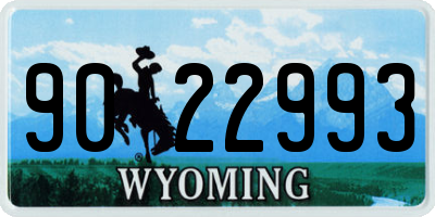 WY license plate 9022993