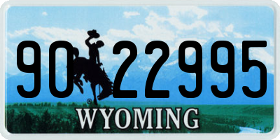 WY license plate 9022995