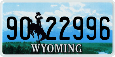 WY license plate 9022996