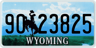 WY license plate 9023825