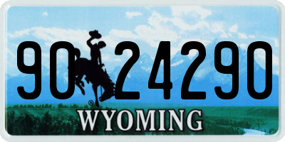 WY license plate 9024290