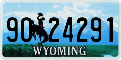 WY license plate 9024291