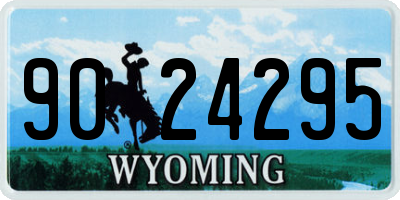 WY license plate 9024295