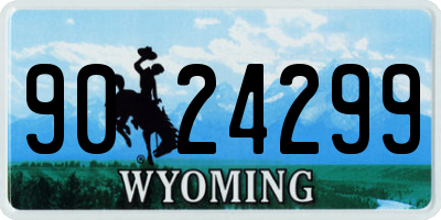 WY license plate 9024299