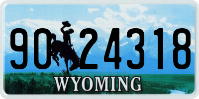 WY license plate 9024318