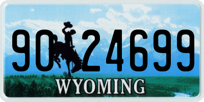 WY license plate 9024699
