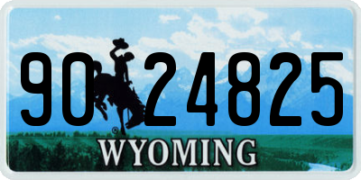 WY license plate 9024825