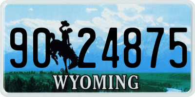 WY license plate 9024875