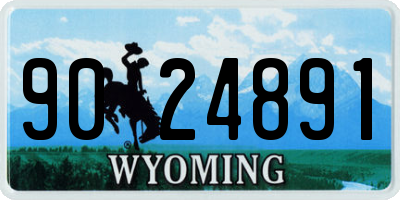 WY license plate 9024891