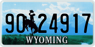 WY license plate 9024917