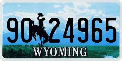 WY license plate 9024965