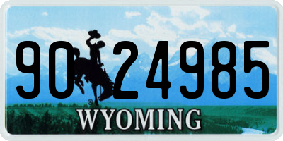 WY license plate 9024985