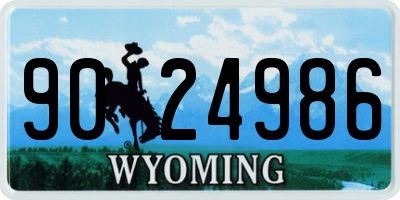 WY license plate 9024986
