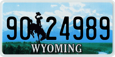 WY license plate 9024989
