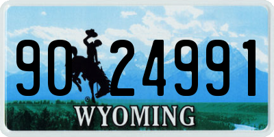 WY license plate 9024991