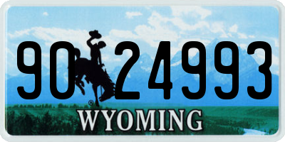 WY license plate 9024993