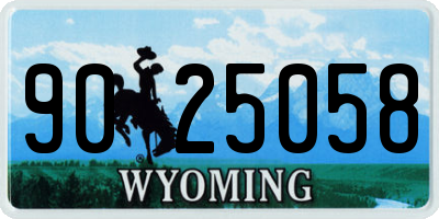 WY license plate 9025058
