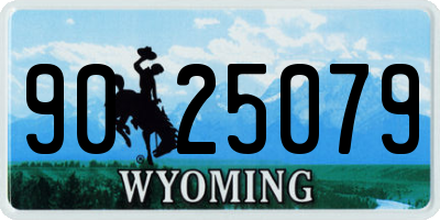 WY license plate 9025079