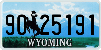 WY license plate 9025191