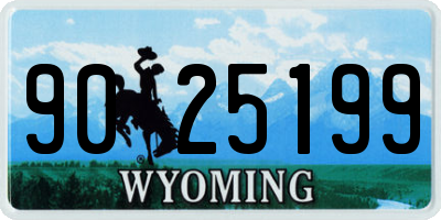 WY license plate 9025199