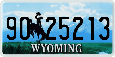 WY license plate 9025213