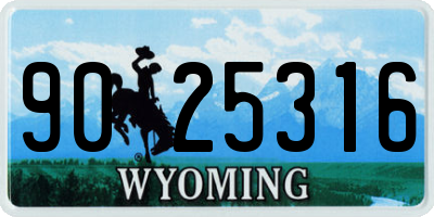WY license plate 9025316