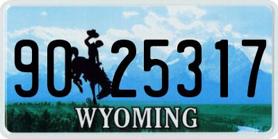 WY license plate 9025317