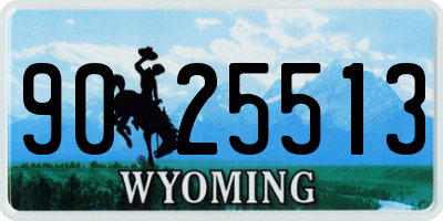 WY license plate 9025513