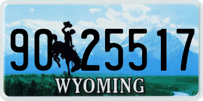 WY license plate 9025517