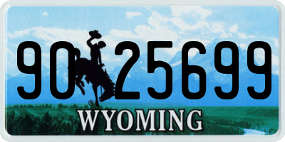 WY license plate 9025699