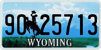 WY license plate 9025713