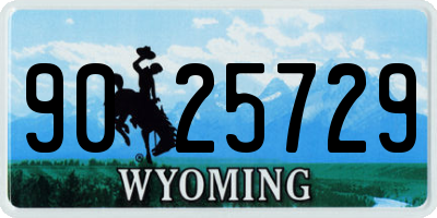 WY license plate 9025729