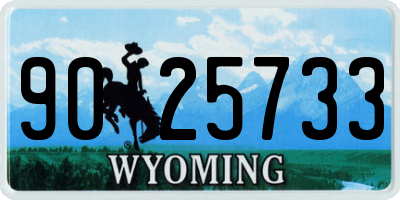 WY license plate 9025733