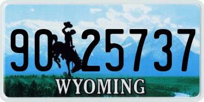 WY license plate 9025737