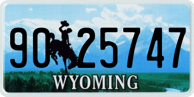 WY license plate 9025747