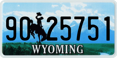 WY license plate 9025751