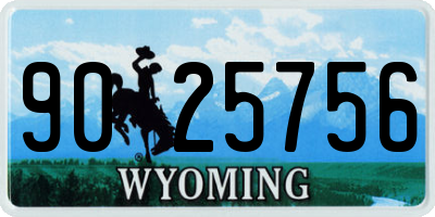 WY license plate 9025756
