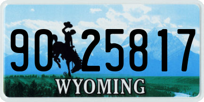 WY license plate 9025817