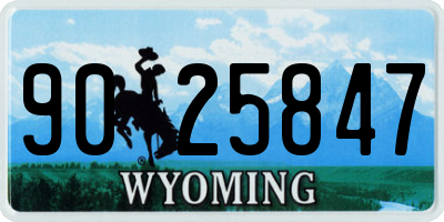 WY license plate 9025847