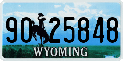 WY license plate 9025848
