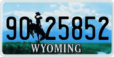 WY license plate 9025852