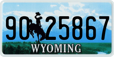 WY license plate 9025867