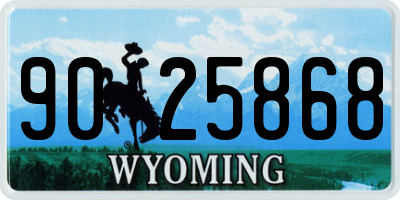 WY license plate 9025868