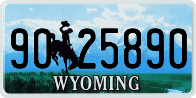 WY license plate 9025890