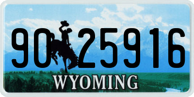 WY license plate 9025916